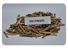 Satawari