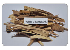 White Sendal